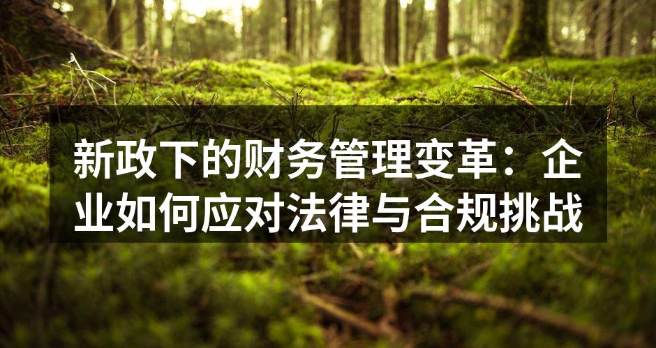 新政下的财务管理变革：企业如何应对法律与