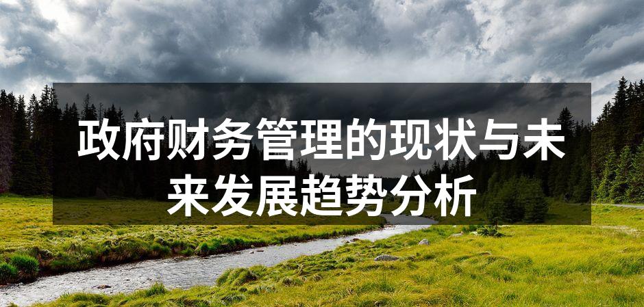 政府财务管理的现状与未来发展趋势分析