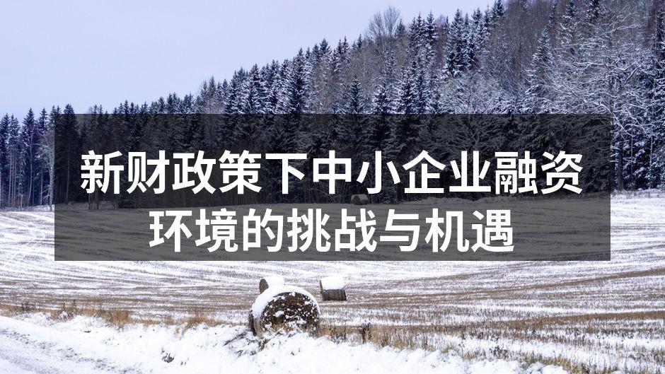 新财政策下中小企业融资环境的挑战与机遇